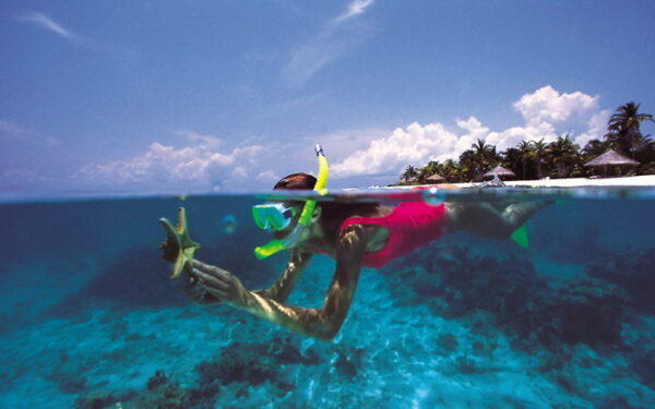 Andaman islands - Image 4
