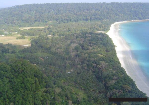 Andaman islands - Image 3