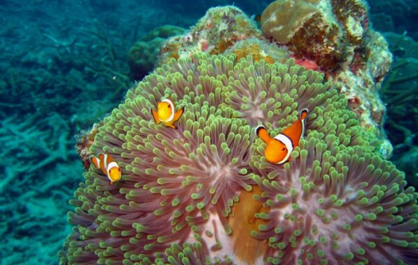 Andaman islands