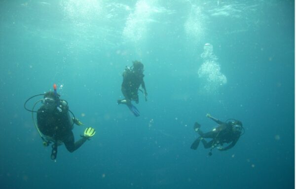 Andaman islands - Image 2
