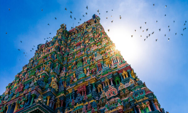 Short Tamil Nadu Jewels - Image 3