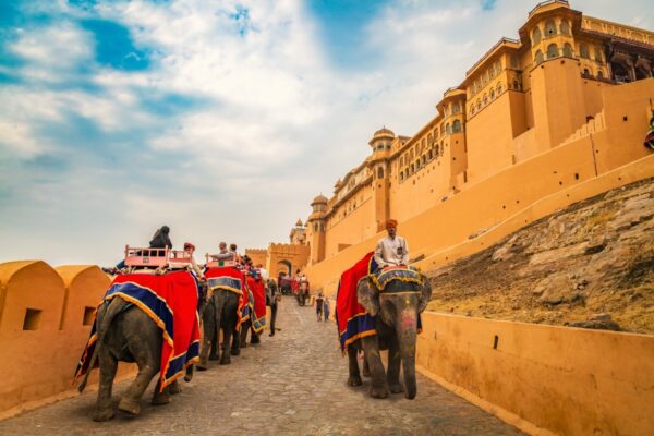 Colorful Rajasthan - Forts & Palace - Image 4