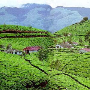 Short Kerala Trip