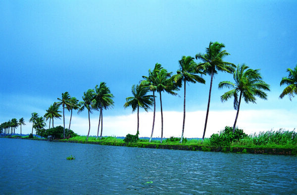 Short Kerala Trip - Image 2