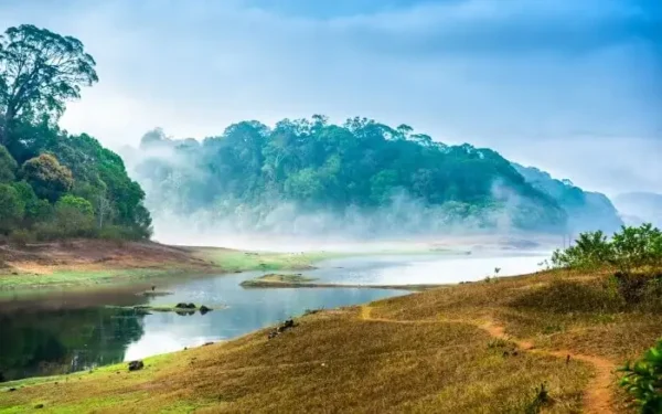 Alluring Kerala - Gods own country - Image 3