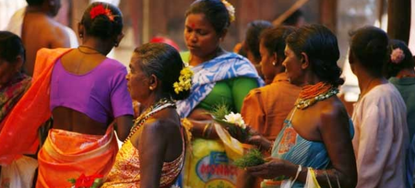 Exotic South India - Image 5