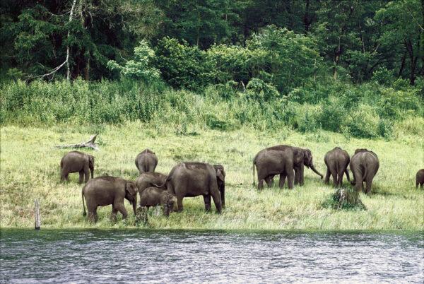 21 Nights North & South India Highlights - Image 3